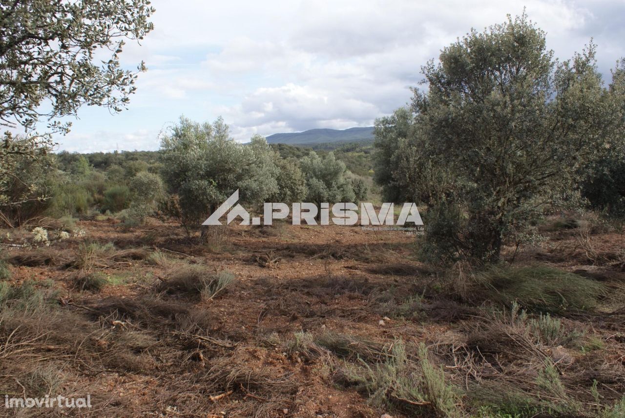 Terreno Rústico para vender em Penamacor