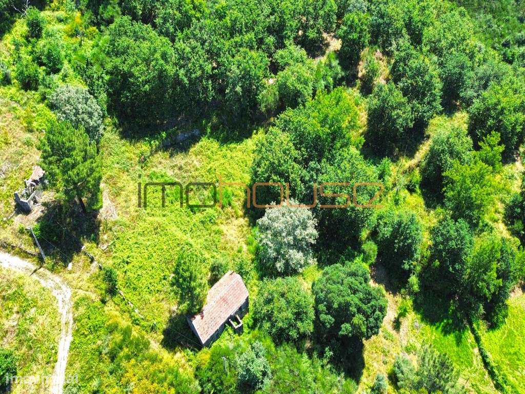 Quinta isolada - Amarante-33