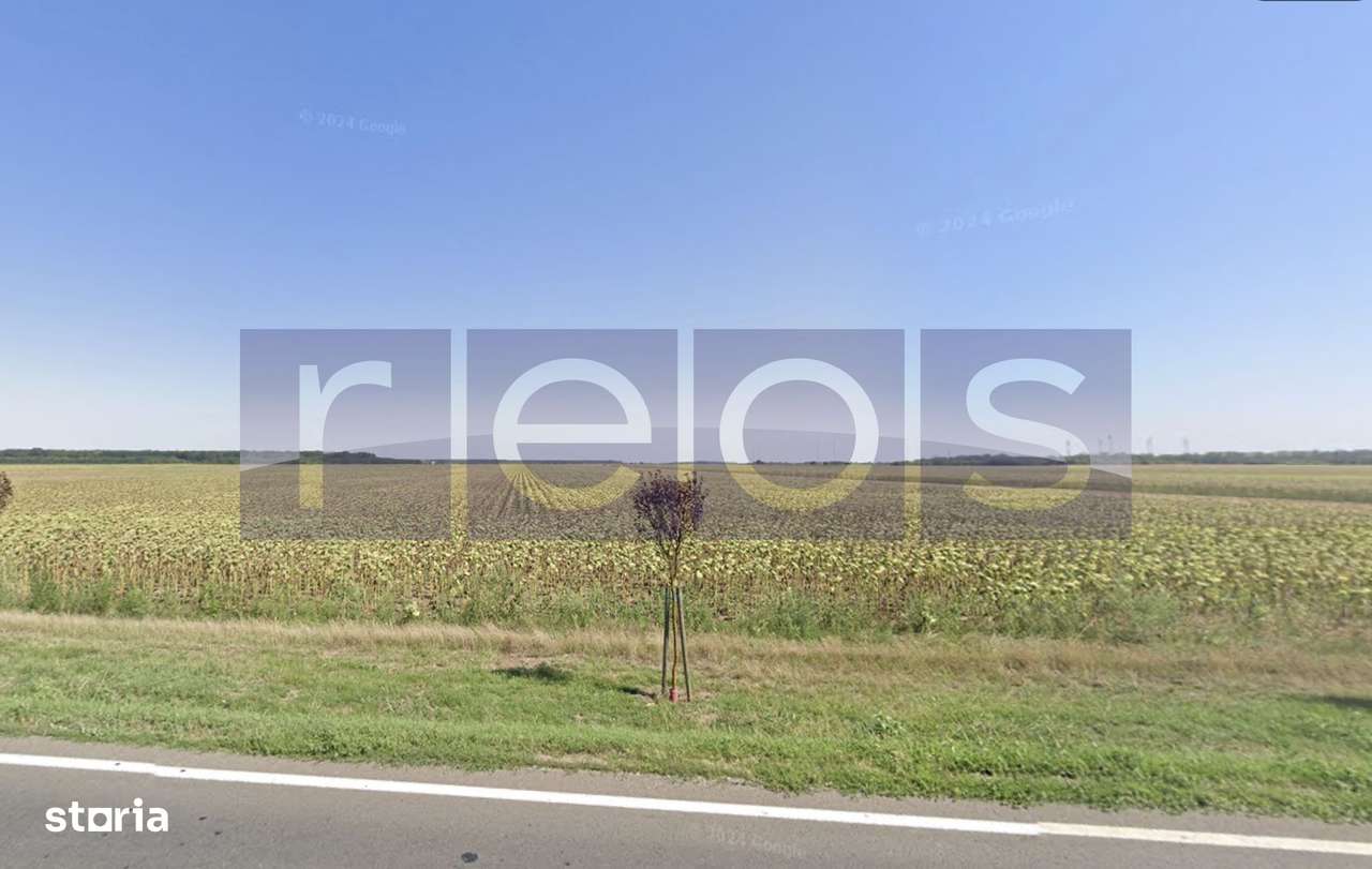 | OPORTUNITATE | DE VANZARE TEREN BRANESTI 41.317 mp DESCHIDERE 85 m - Imagine principală: 2/6