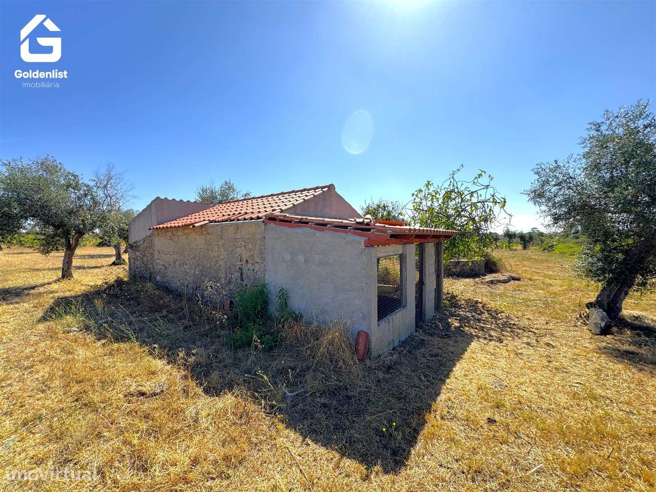 Quinta  Venda em Lardosa,Castelo Branco-34
