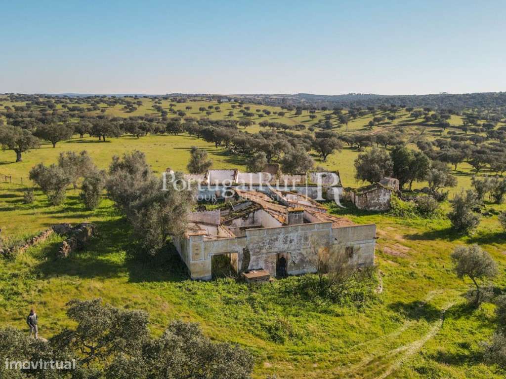 Herdade de 18 hectares perto de Estremoz-7