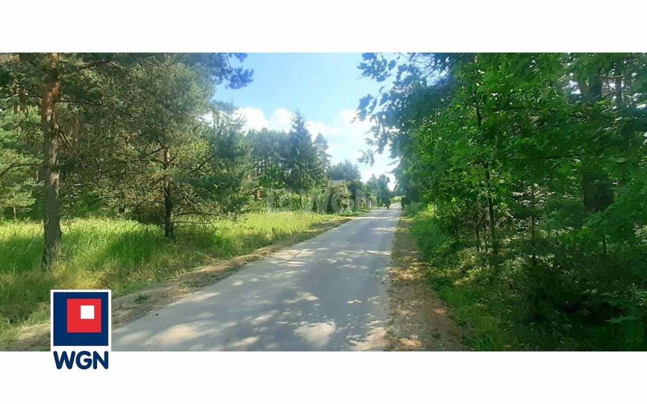 Działka letniskowa w lesie - Pełny obrazek: 4/15