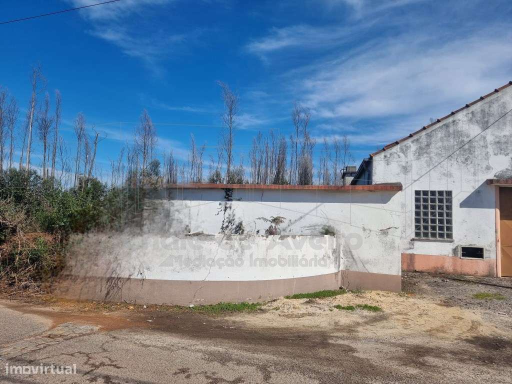 Terreno Misto com Armazém - Grande imagem: 2/6
