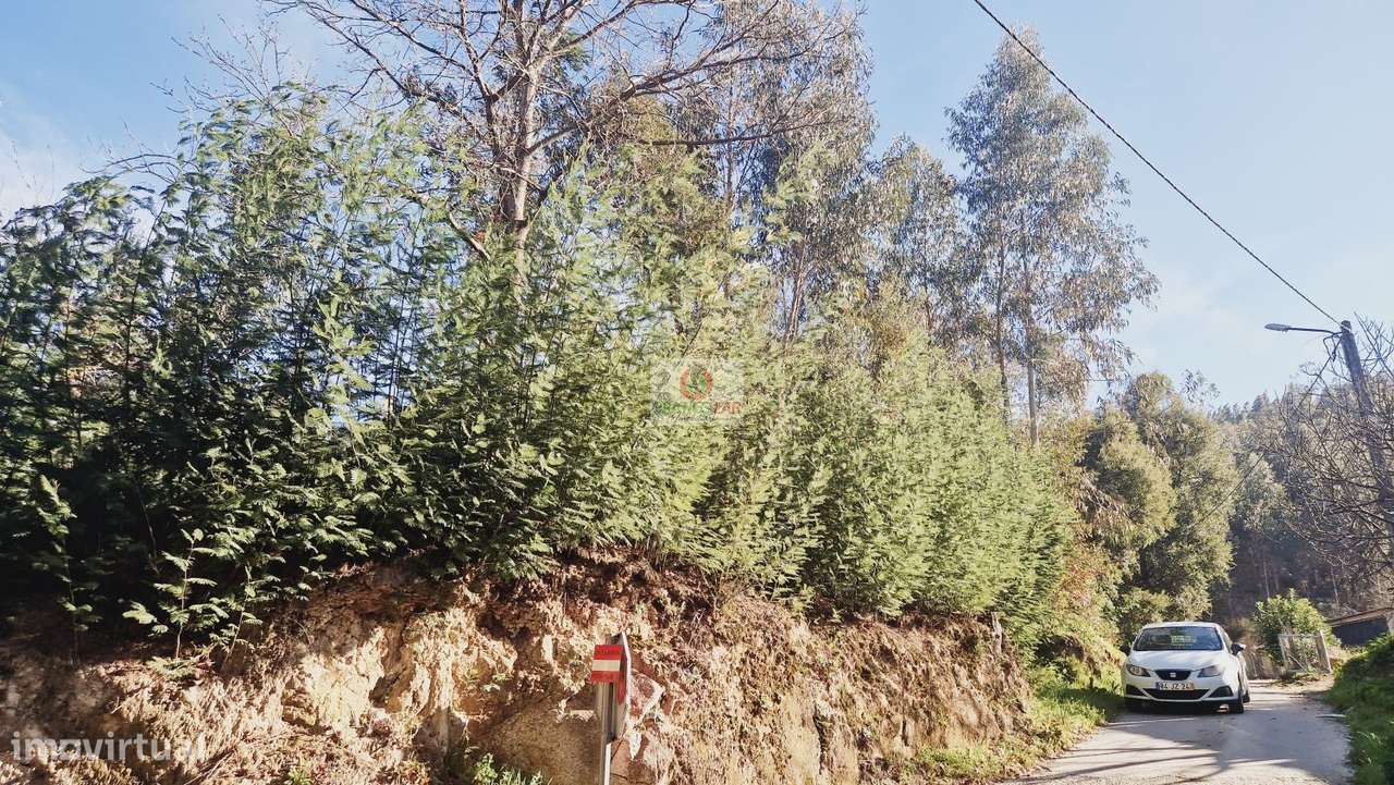 Terreno com viabilidade de construção em Cedrim - Grande imagem: 5/10