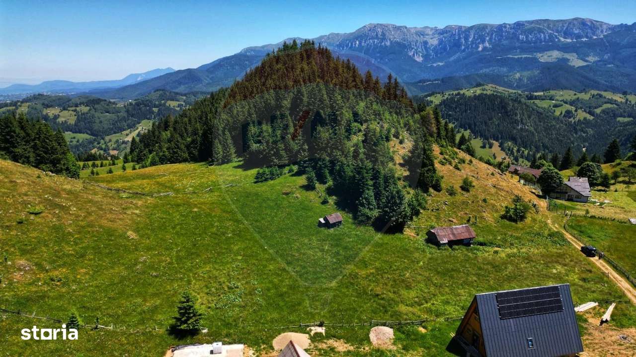 Teren de 7830mp de vanzare in Fundata! Comision 0% - Imagine principală: 4/20