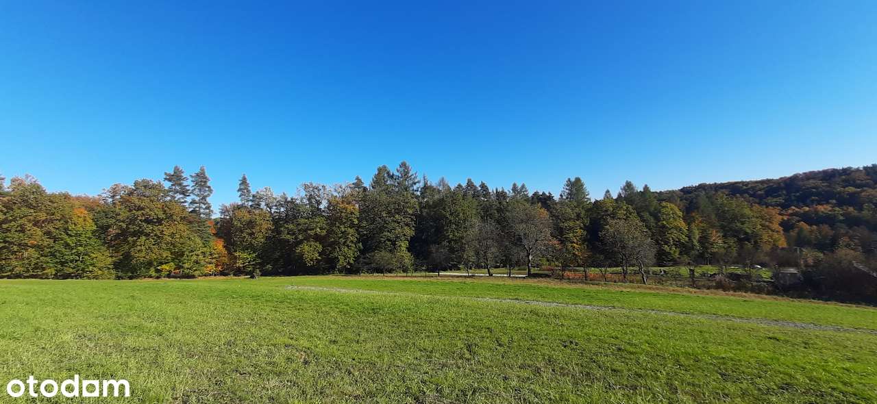 Działka w Izdebniku, dojazd, słońce - Pełny obrazek: 5/9