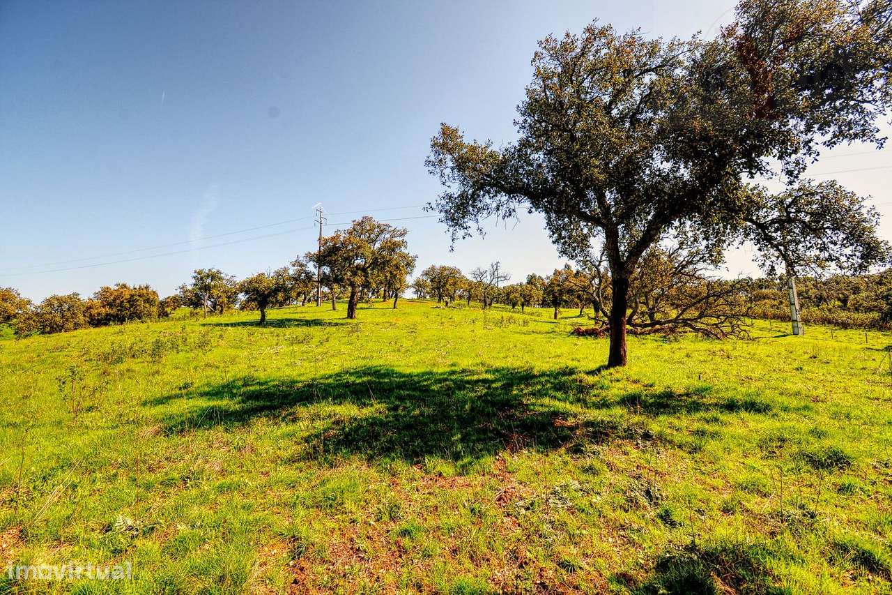 TERRENO EM S.BARTOLOMEU DA SERRA-19