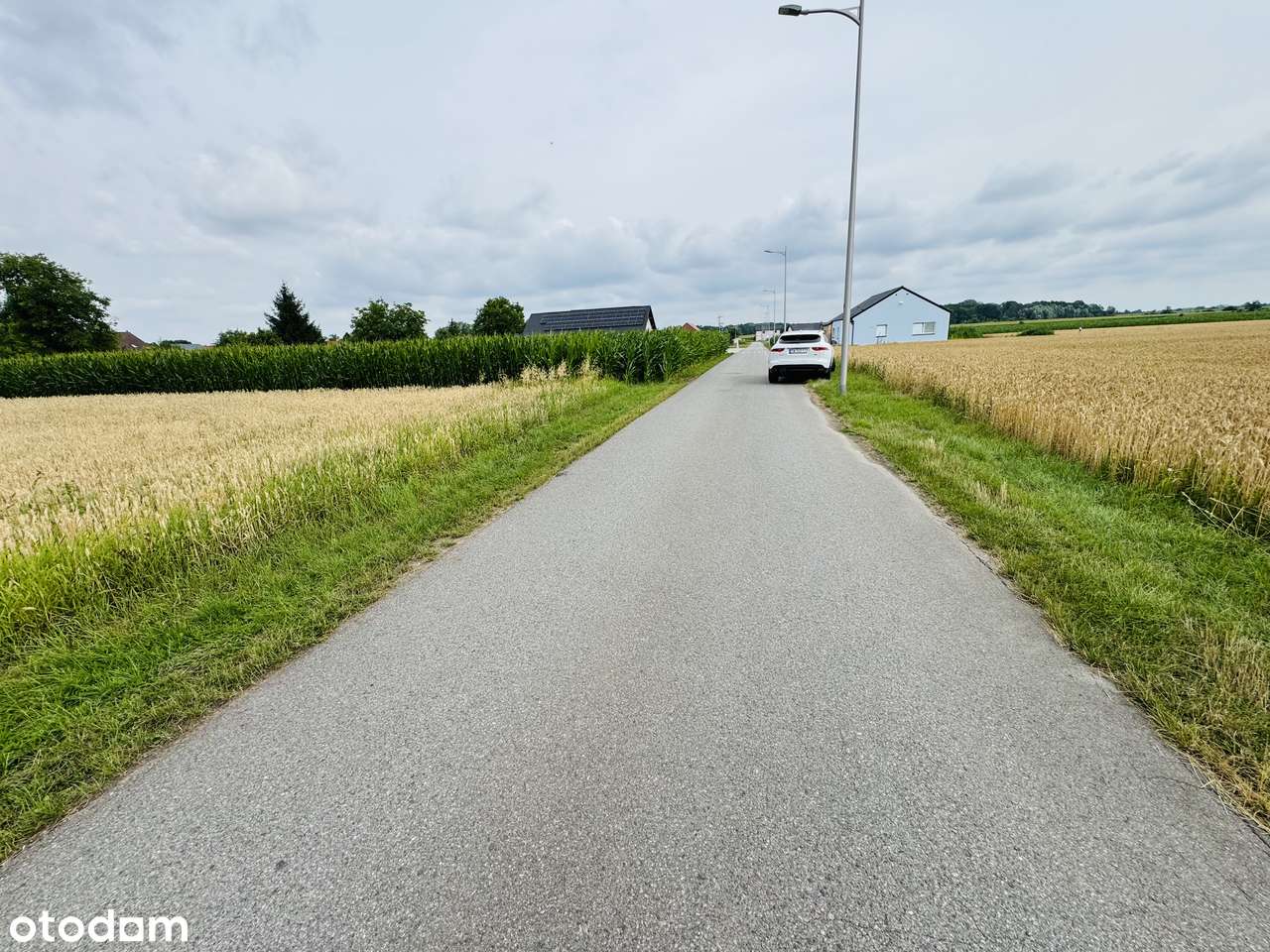 Wierzbice, działka budowlano-rolna o pow. 1,3 ha,-1