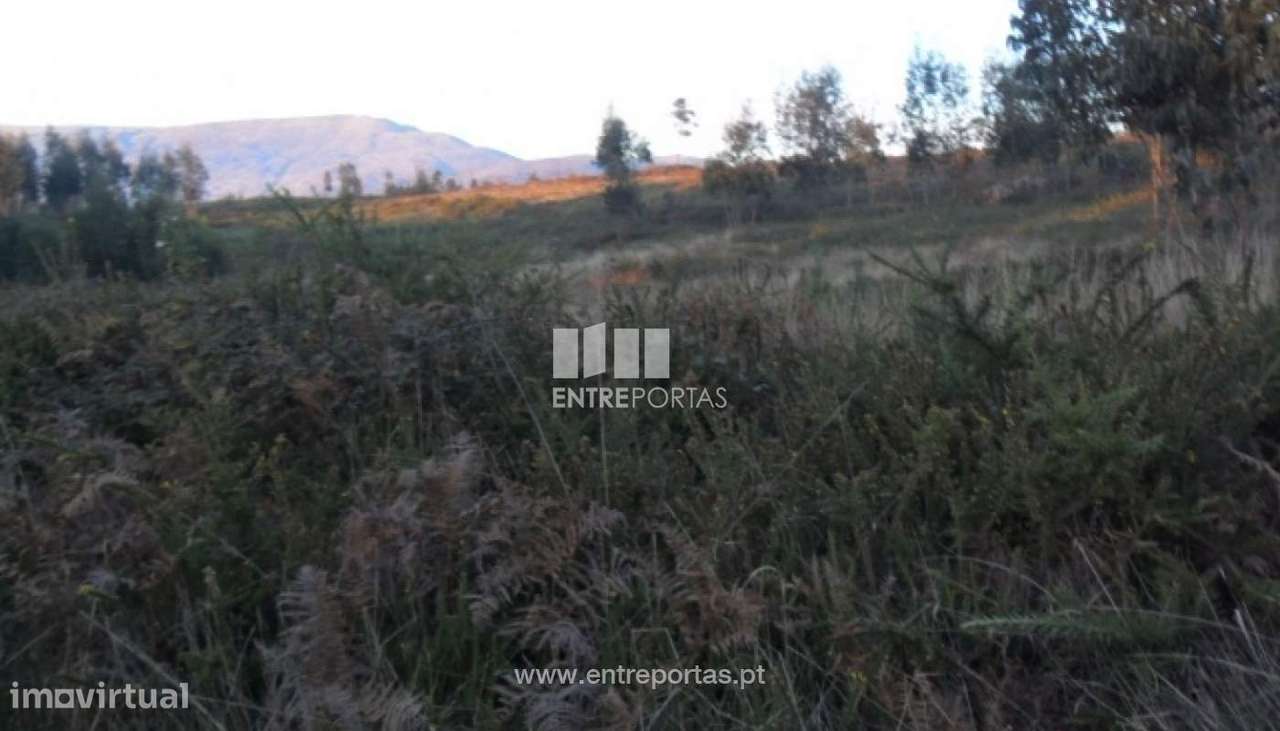 Terreno Agrícola - Lanheses - Grande imagem: 1/30