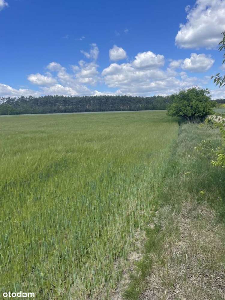 działka budowlana-9