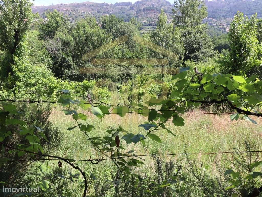 Terreno com 17.800 m², Casa para Reconstruir e mina de Água - Soalh...-9