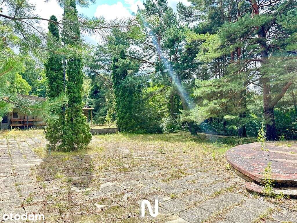 Wyjątkowy teren w doskonałej lokalizacji!-17