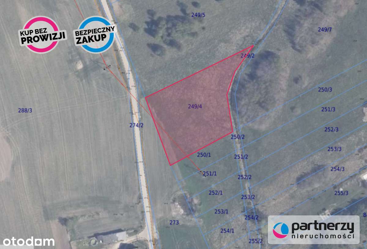 Mierzeszyn - Działka zagrodowa w cichej okolicy - Pełny obrazek: 4/12