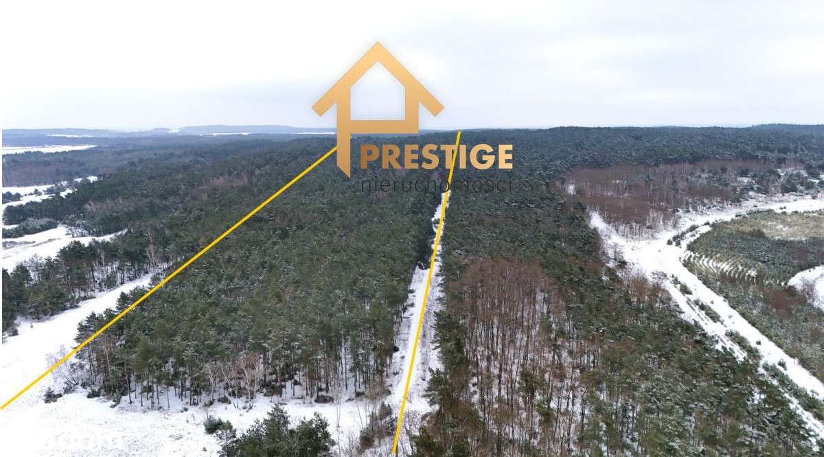 Wyjątkowa enklawa 4,94ha działka budowlana z lasem-1