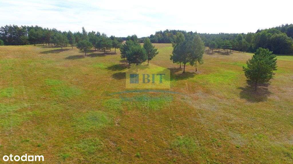 Działka 8,58 ha z widokiem panoramicznym-10