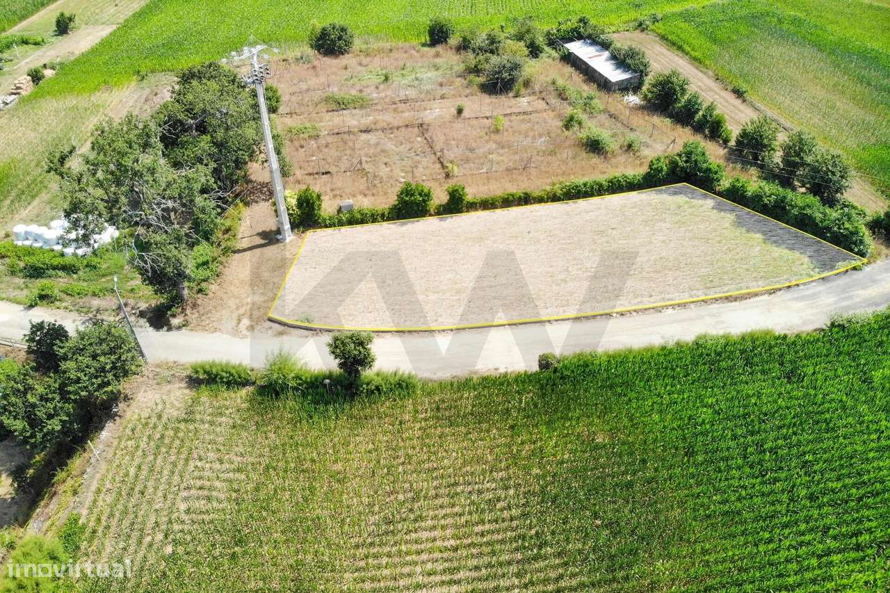 Terreno com Excelente Potencial para Construção – Beduído, Estarreja-14