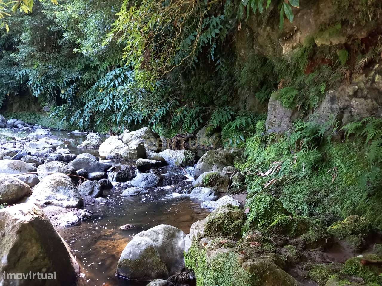 Terreno Rustico. - Grande imagem: 4/4