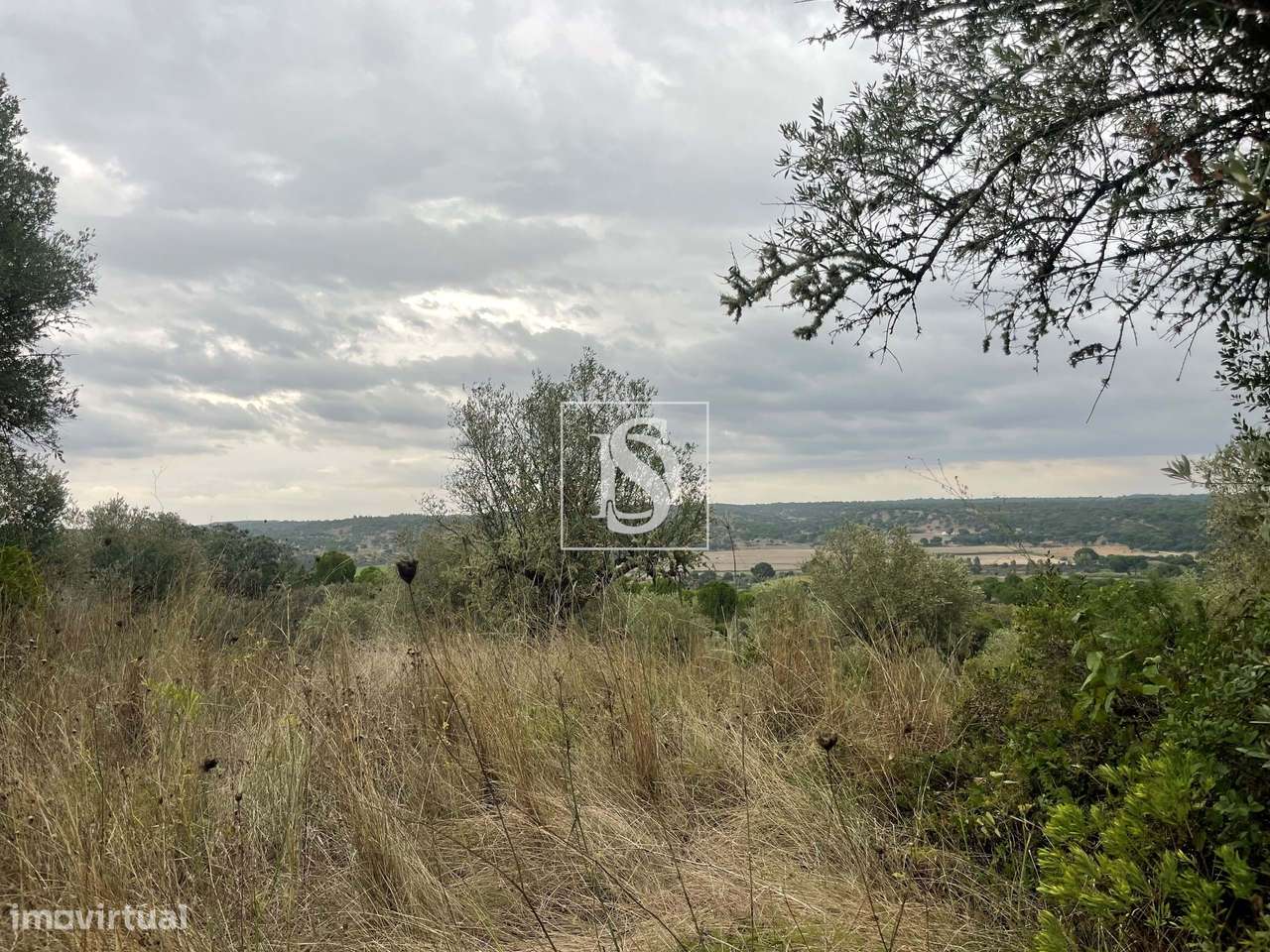 Quintinha em Montargil-14