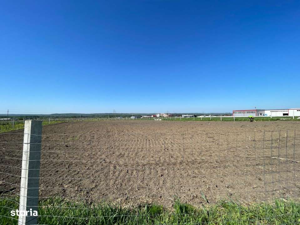 Teren intravilan agricol 6215mp cu utilitati in Racari, jud. Dolj - Imagine principală: 4/4