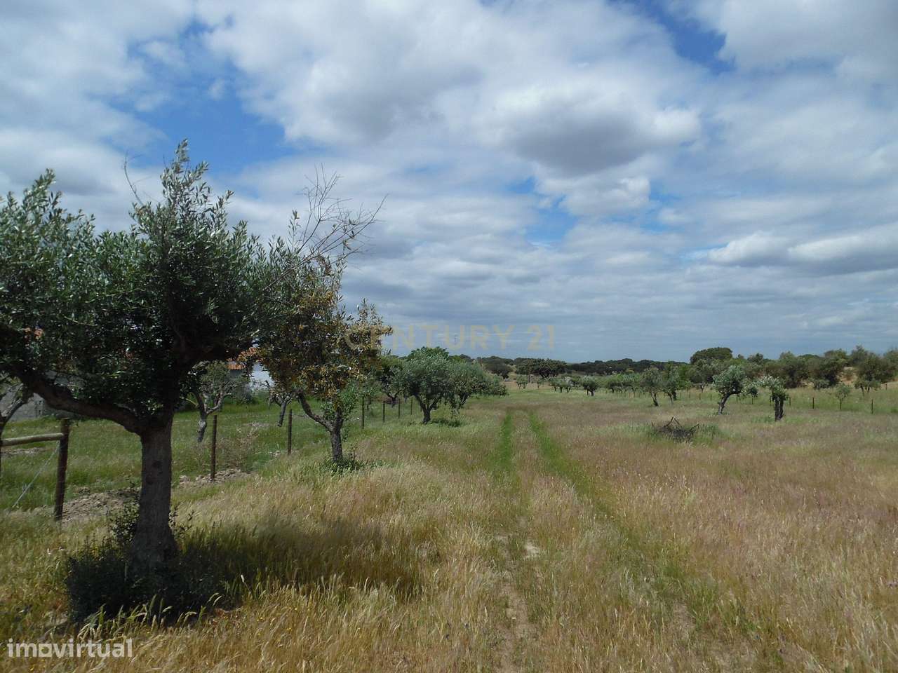 Quinta em Capelins,  Alandroal - Évora,  Oportunidade Única-25