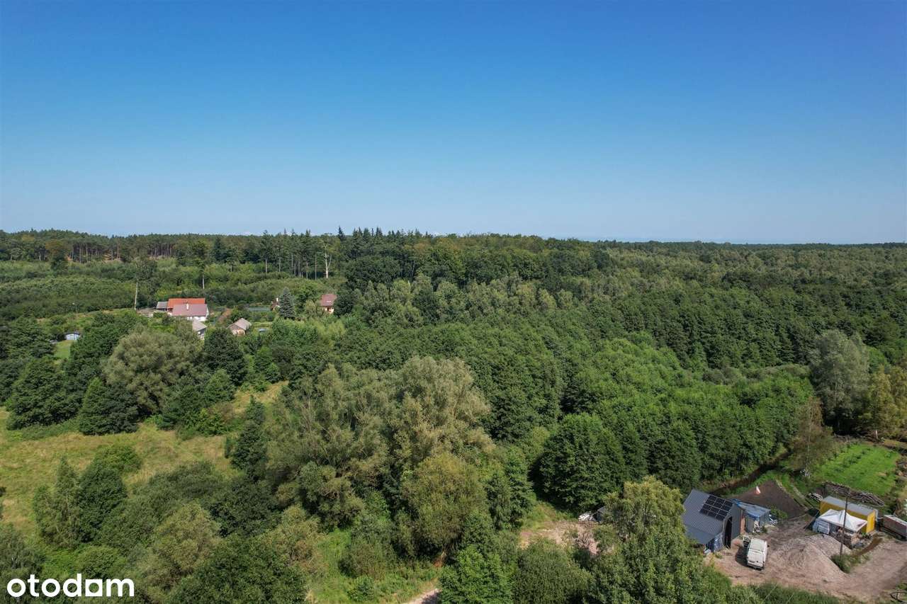 aktualne warunki zabudowy|blisko morza|3003 m2! - Pełny obrazek: 4/11