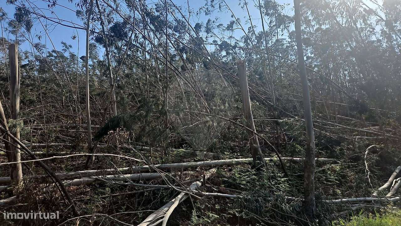 Terreno  para venda - Grande imagem: 4/6