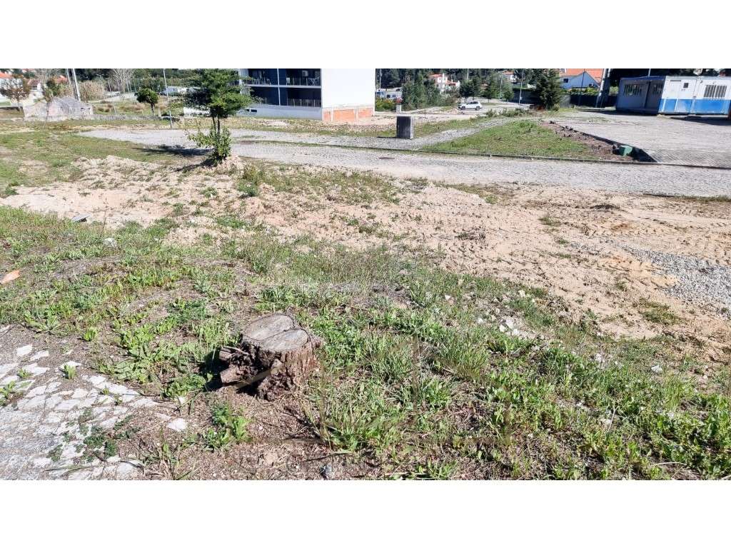 Lote de Terreno para Construção - Quinta da Várzea - Maça - Grande imagem: 3/14