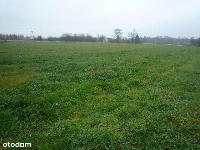 Działka, 10000.0 m², Prażmów - Pełny obrazek: 5/6