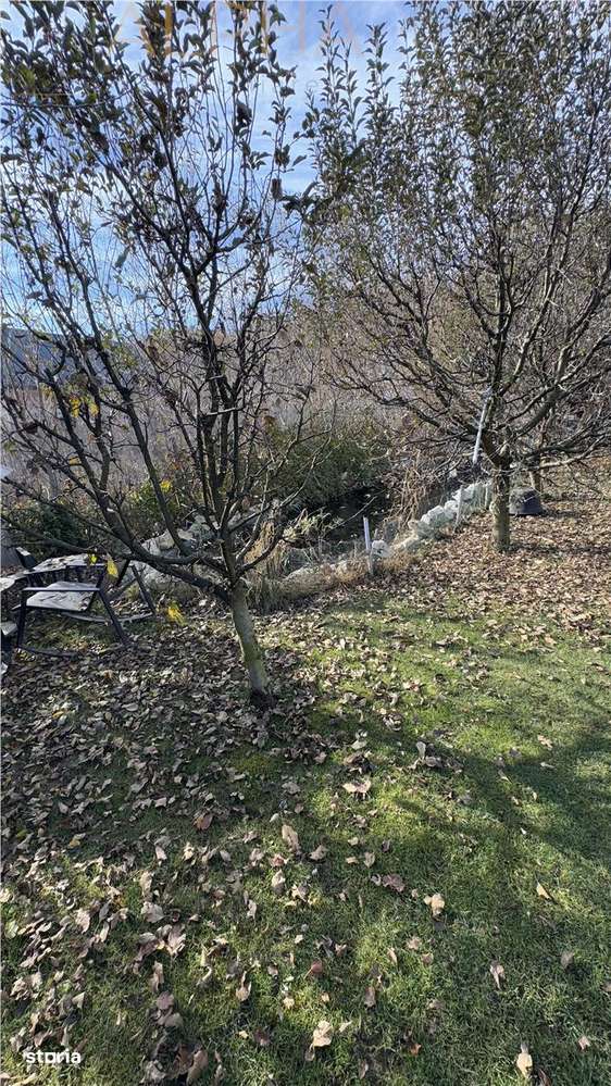 De Vanzare Vila de Lux - Imagine principală: 4/17