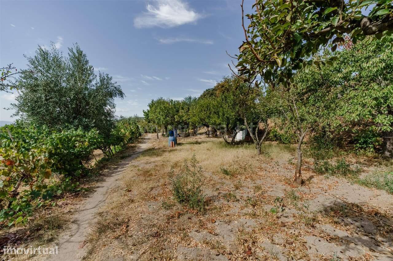 Terreno / Covilhã, Tortosendo-10