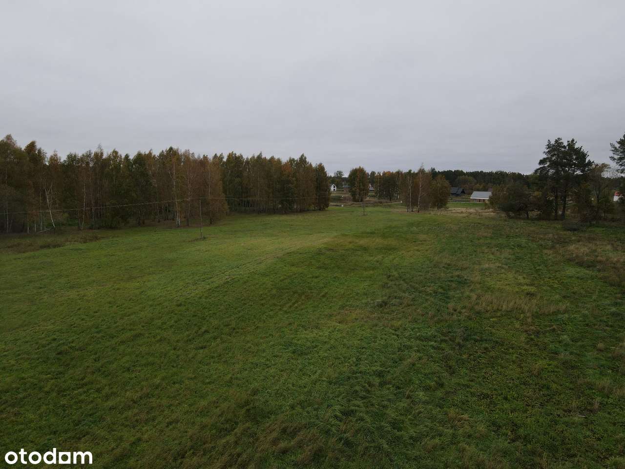 Leśny Zakątek Skorupki - działka pod lasem - SWJM - odlicz VAT 23%-7