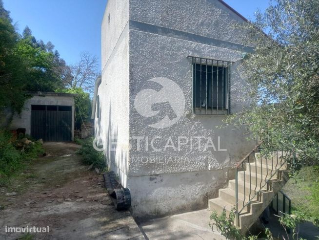 Oportunidade Única: Quinta para Habitação, Turismo ou Agricultura em M-14