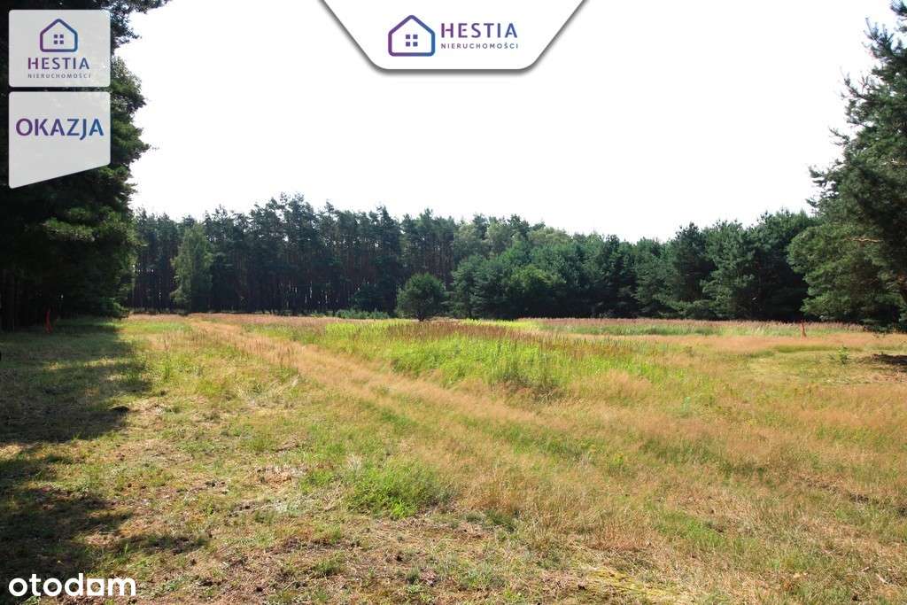 Duża działka przy lesie w Wielgowie - Pełny obrazek: 5/6