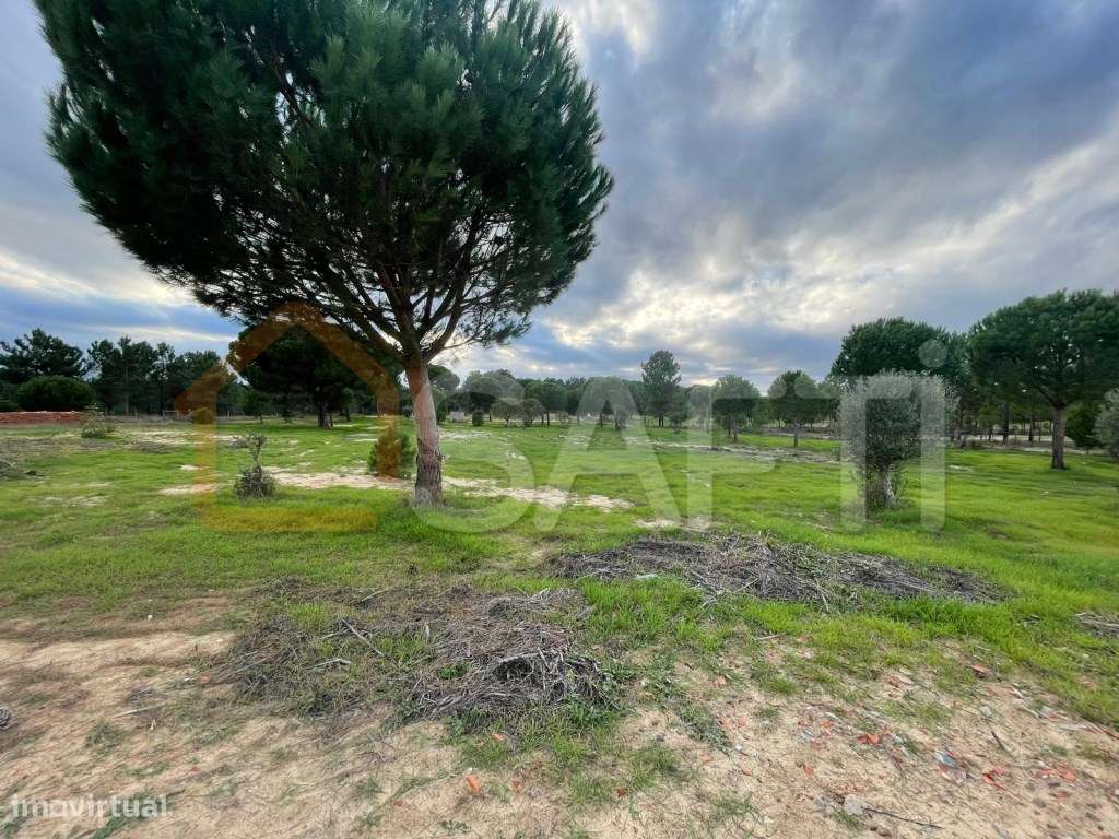 Quinta com duas moradias por recuperar em Grândola - Grande imagem: 4/10