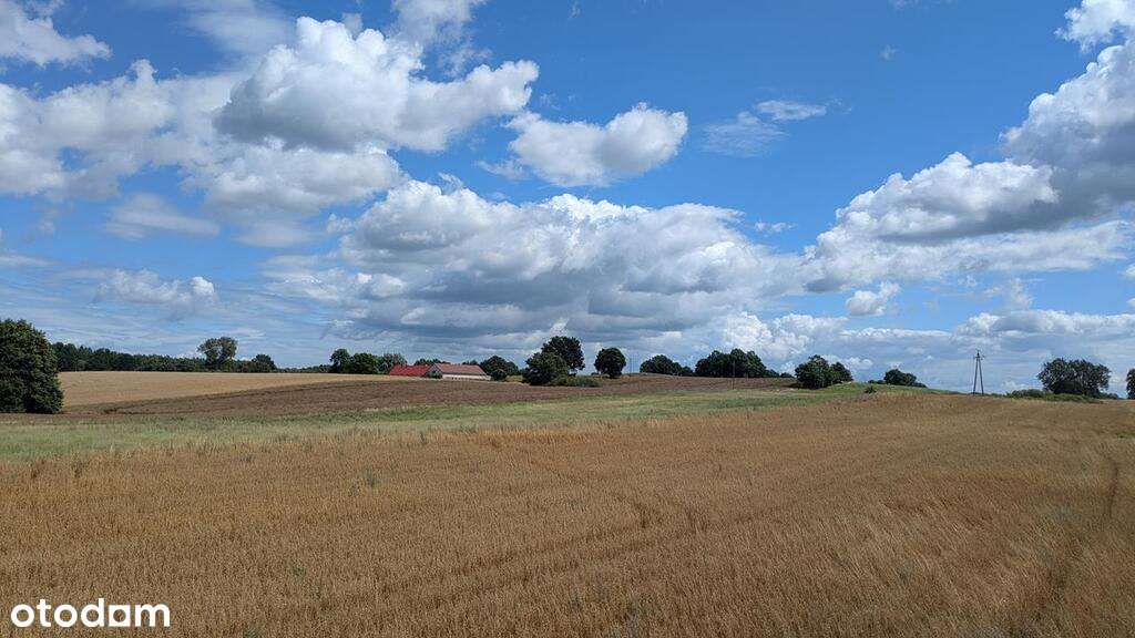 Na sprzedaż siedlisko na Pojezierzu Drawskim.-10