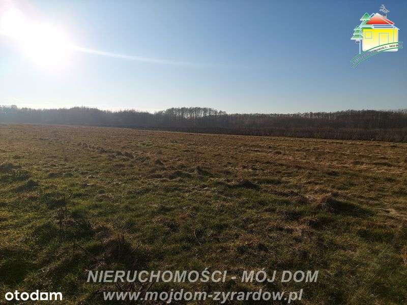 Działki budowlane w m. Aleksandria - Pełny obrazek: 5/5