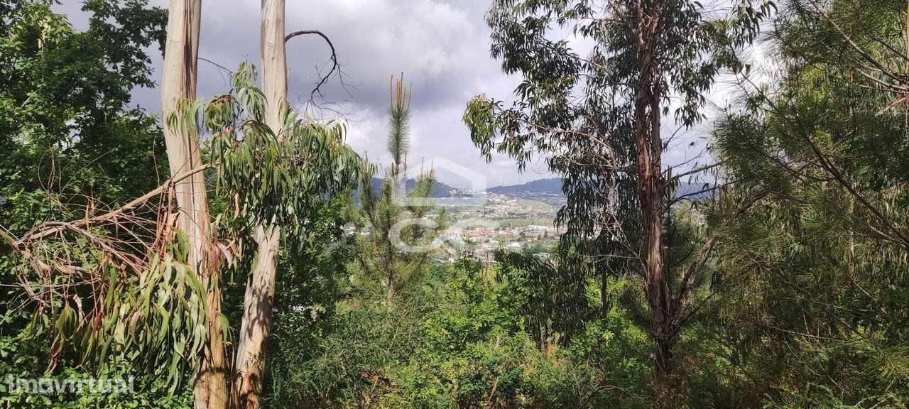 Terreno em Cepães - Fafe - Grande imagem: 5/10