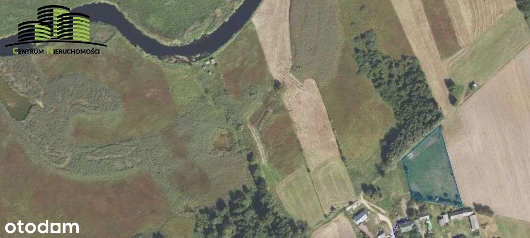 Zaproponuj swoja cene. Działka nad Biebrzą. - Pełny obrazek: 4/12