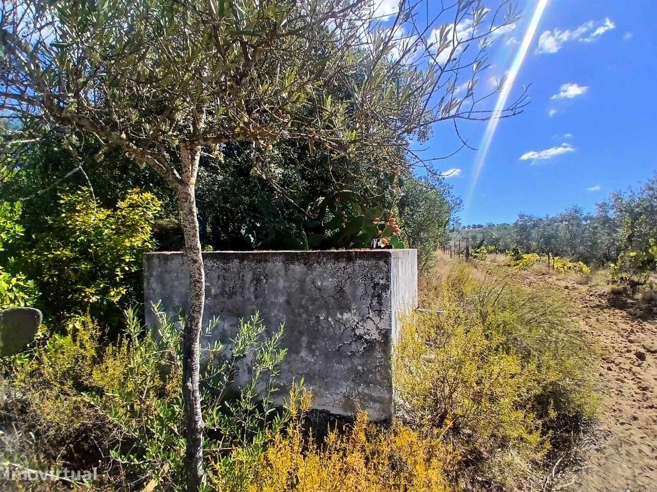 Quinta-4
