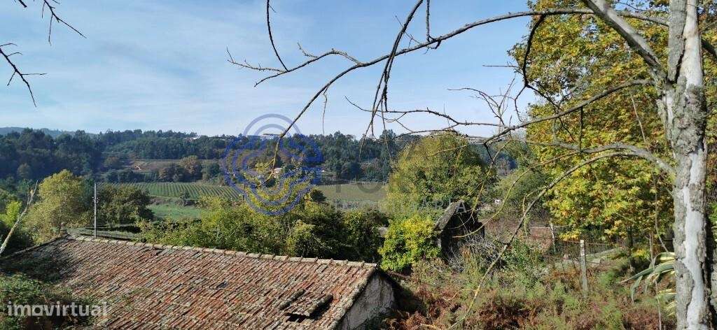 Quinta com excelente exposição solar, toda murada em pedra azul- para - Grande imagem: 5/13