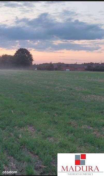 Działka w cichej I spokojnej okolicy - Pełny obrazek: 1/3