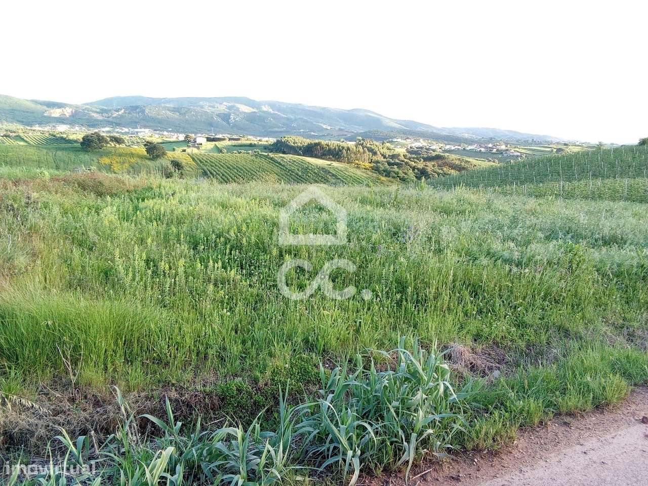 Terreno rústico para venda, em Cadaval. - Grande imagem: 5/8