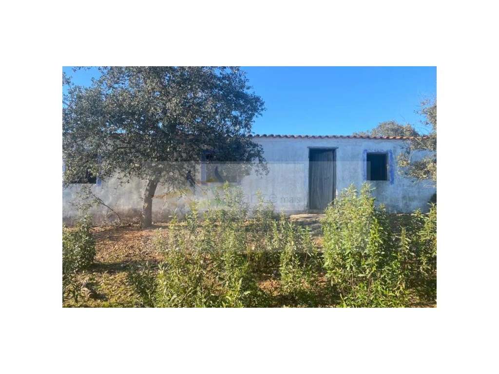 Propriedade em Santa Iria/Serpa - Excelente oportunidade para quem ... - Grande imagem: 5/15