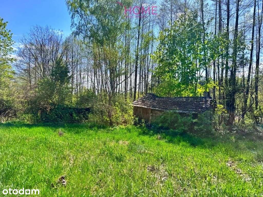 Dom na sprzedaż - Majdan Królewski 2,12ha działki-8