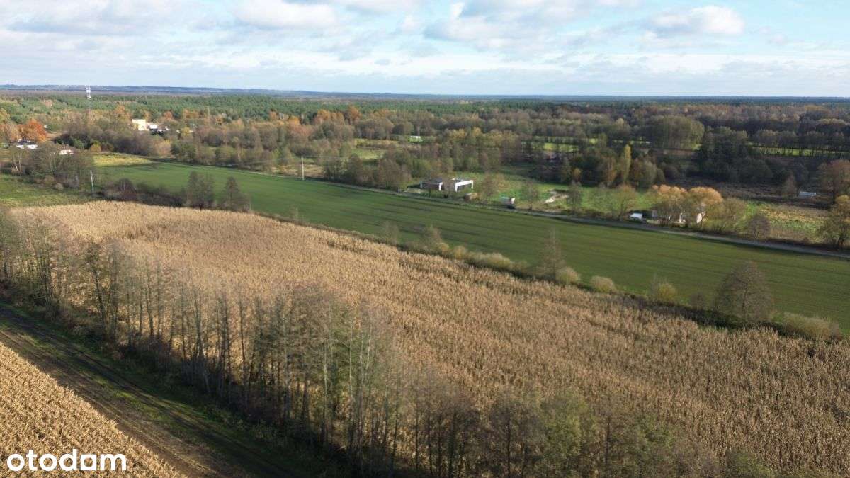 3195m2*3058m2*12minut do Torunia - Pełny obrazek: 5/16