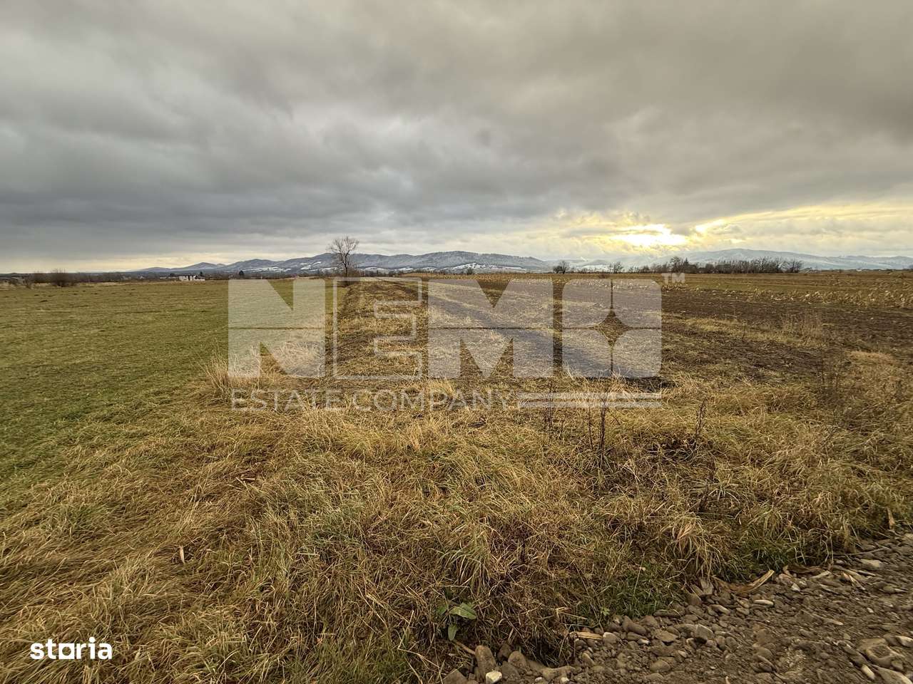 Teren 80 Ari | Vicovu de Sus – Bahna | Front 16.5 - Imagine principală: 5/5