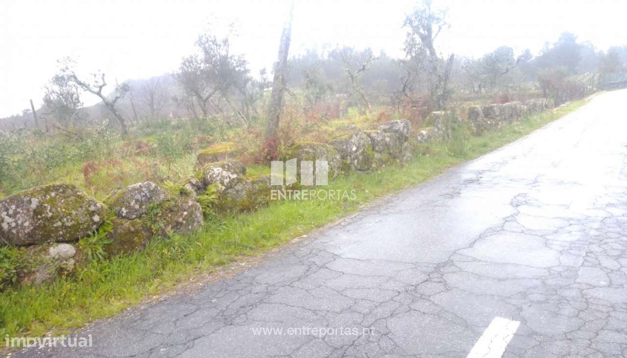 Venda Terreno,Soalhães, Marco de Canaveses - Grande imagem: 3/39