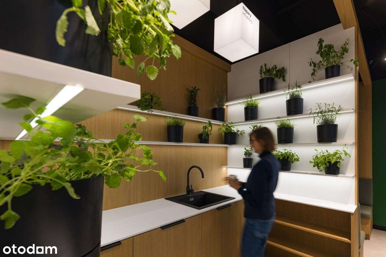 Twoje nowe biuro w Quattro / 5 stanowisk pracy - Pełny obrazek: 3/11