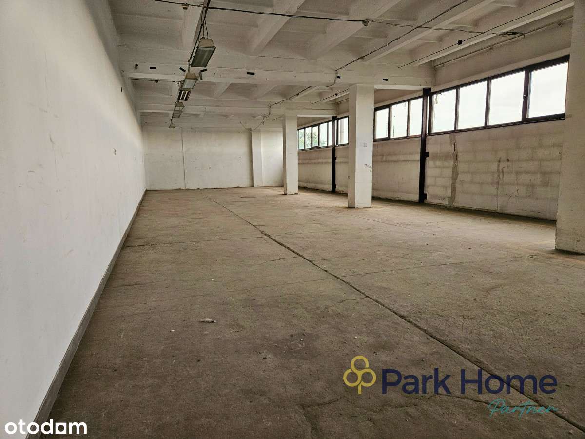 Oferta Wynajmu Powierzchni Magazynowych - Pełny obrazek: 4/6