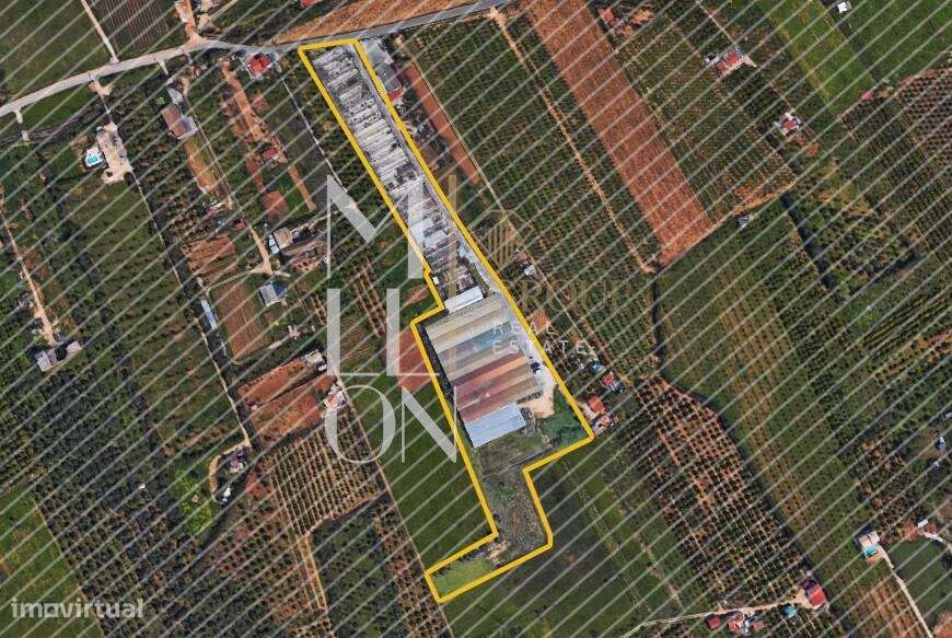 Terreno Lameiras - Grande imagem: 2/51